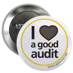 Image of button with " I love a good audit" on it
